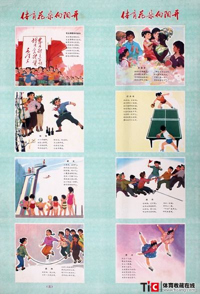 70体育花朵向阳开2