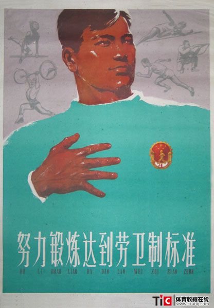 auto_11462.jpg